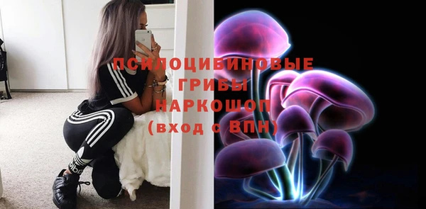 спайс Алексин