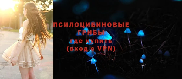 спайс Алексин
