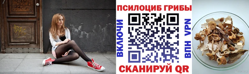 Псилоцибиновые грибы Cubensis закладка Юрьев-Польский